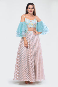 Crop Top and Skirt