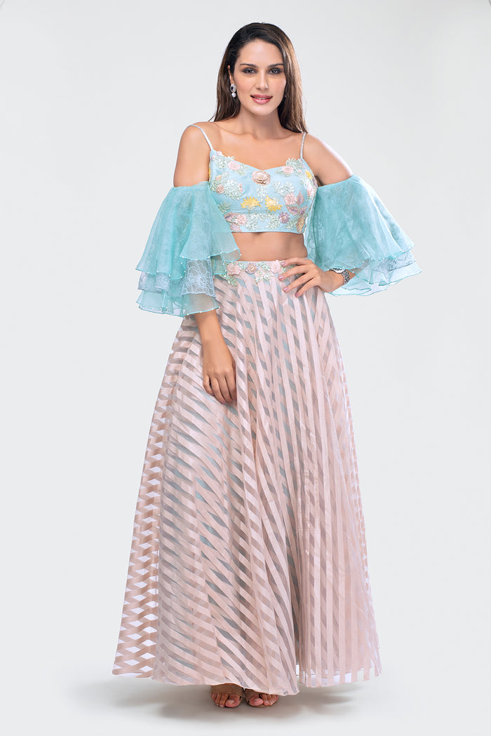 Crop Top and Skirt