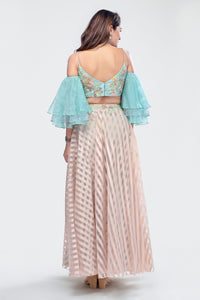 Crop Top and Skirt