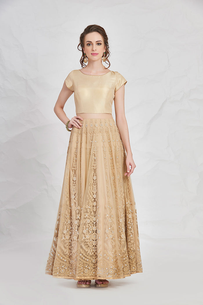 Gold Paneled Illusion Waist Gown